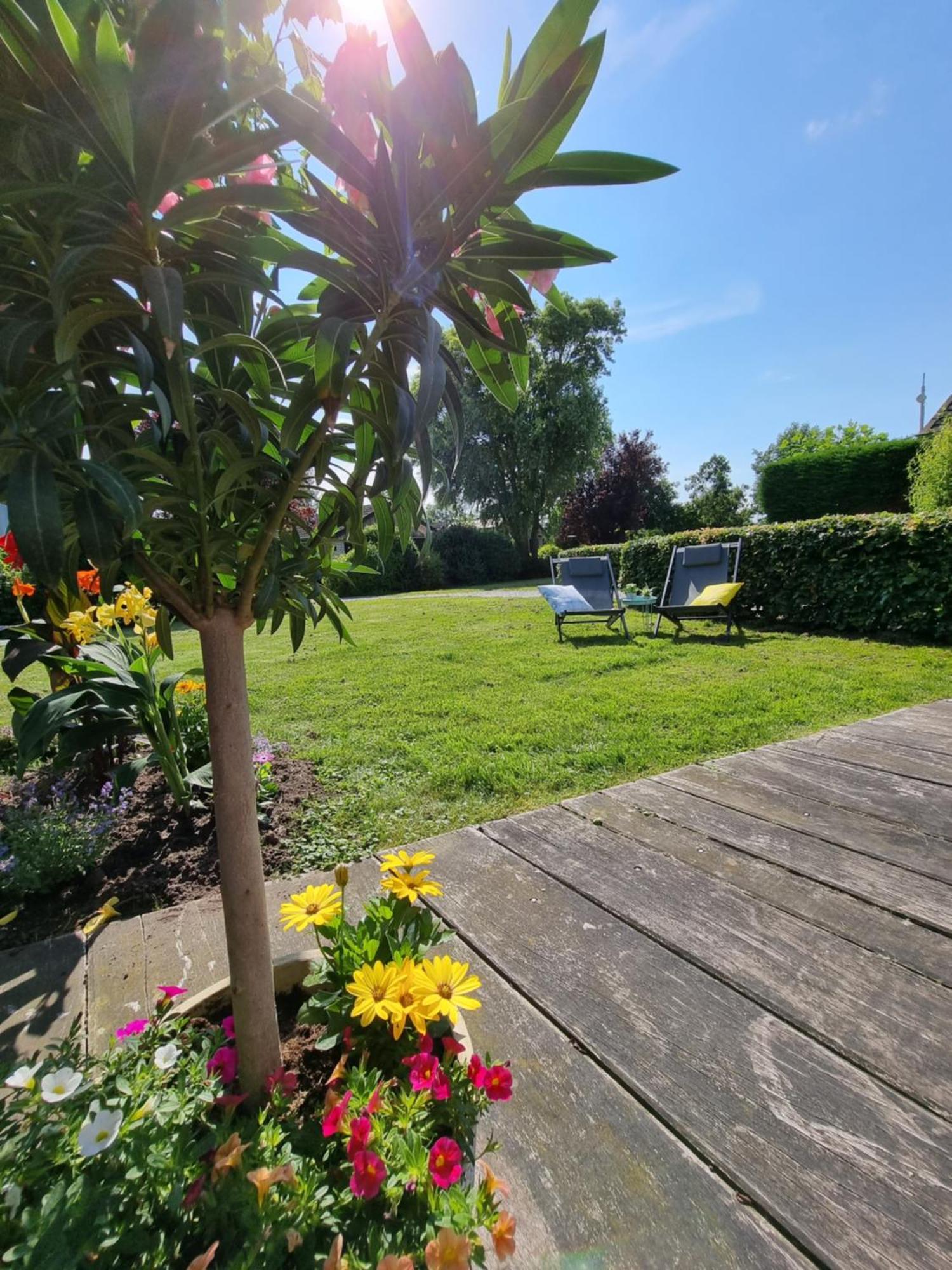 Rietmeer Vakantiehuis Friesland Gaastmeer Exteriör bild